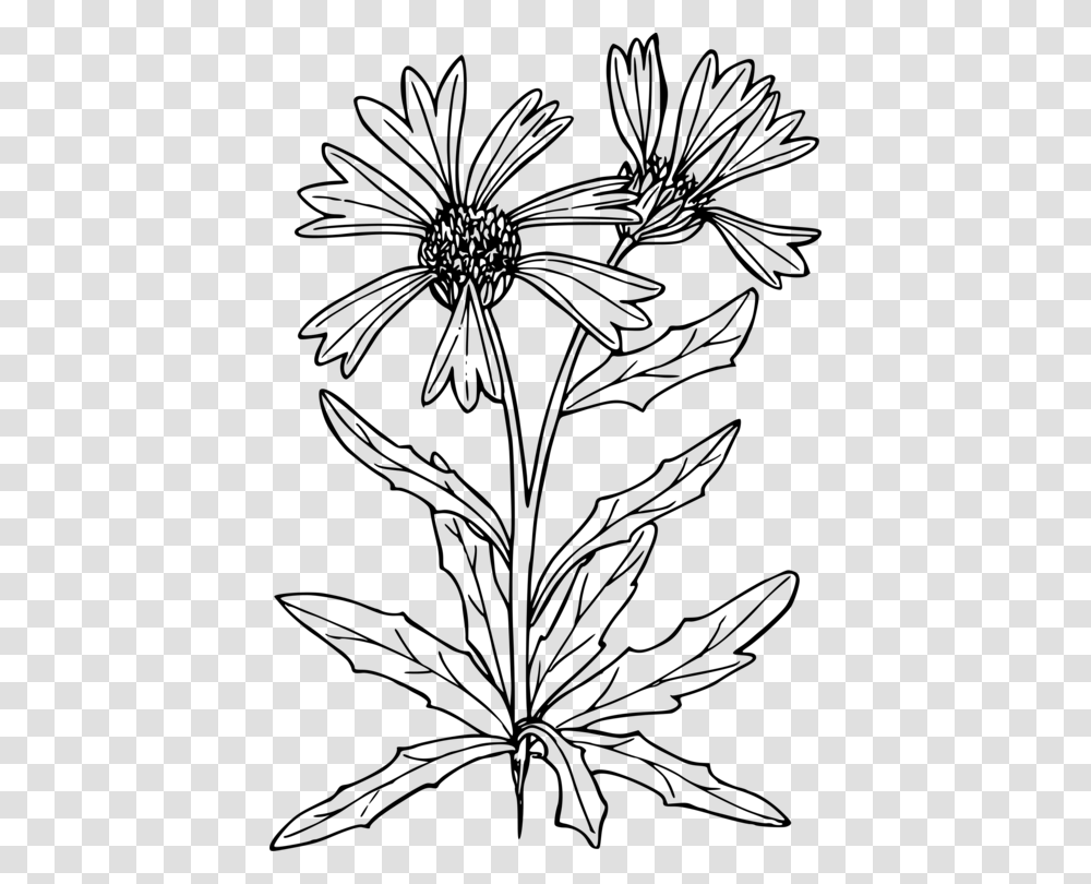 Symmetrymonochrome Photographypetal Line Art, Gray, World Of Warcraft Transparent Png