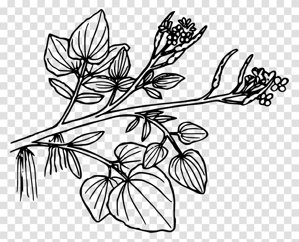 Symmetrymonochrome Photographypetal Watercress Clipart Black And White, Gray, World Of Warcraft Transparent Png