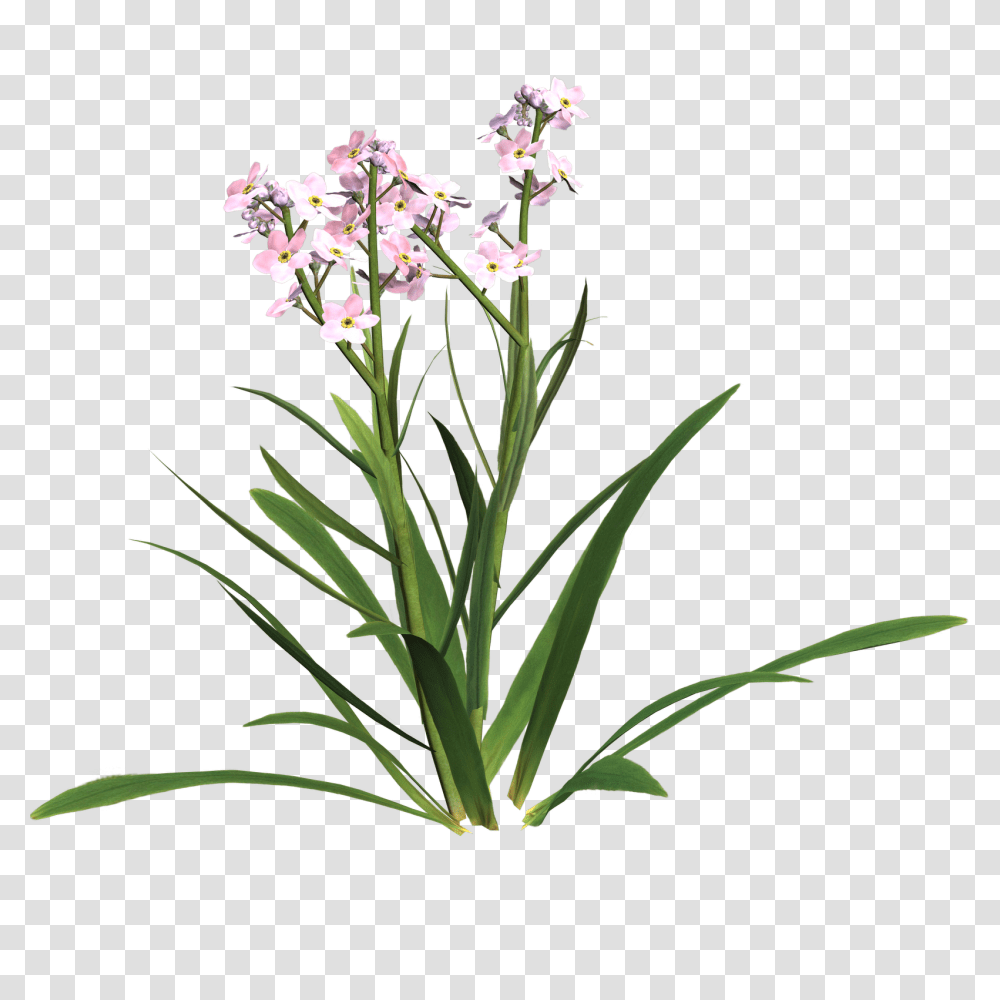 Sympathy Clip Art, Plant, Flower, Blossom, Ikebana Transparent Png