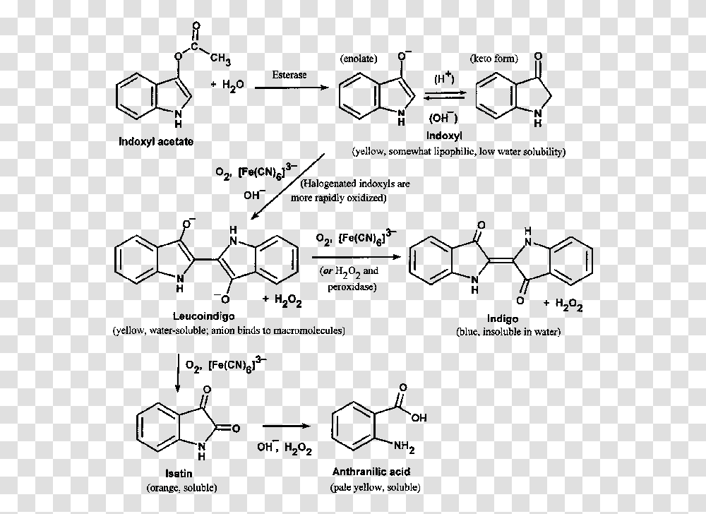Synthesis Of Clozapine, Diagram, Menu Transparent Png