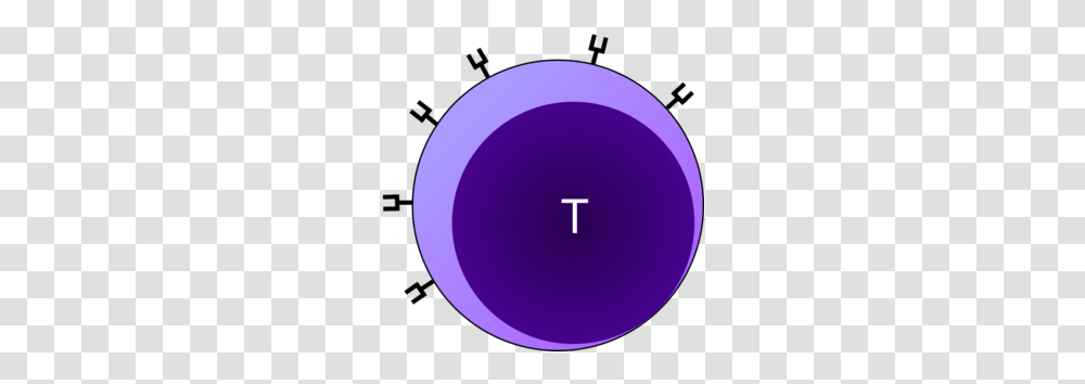 T Cell Clip Art, Sphere, Purple, Number Transparent Png