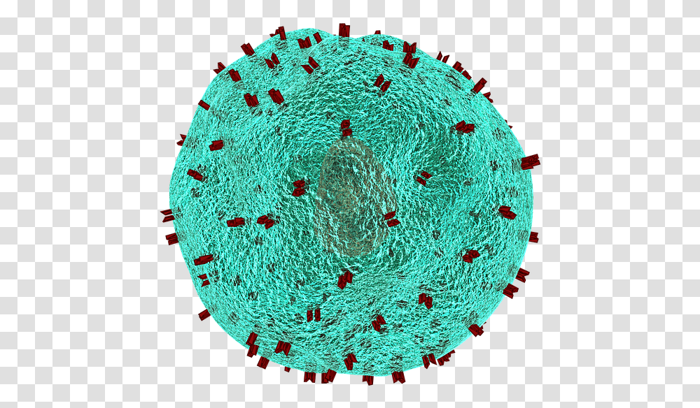 T Helper Cell Cell Immune System Blood Cells Virus T Cells, Rug Transparent Png