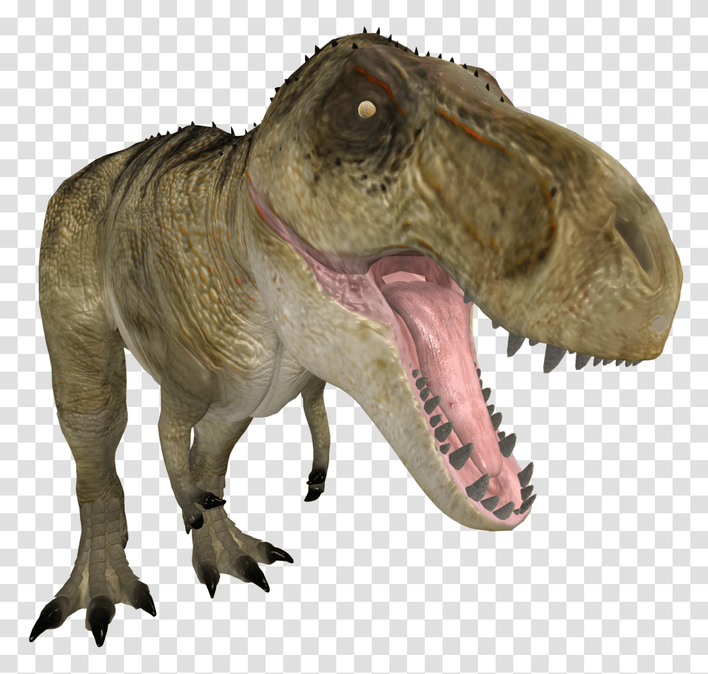 T Rex 3d 3d Computer Graphics, T-Rex, Dinosaur, Reptile, Animal Transparent Png