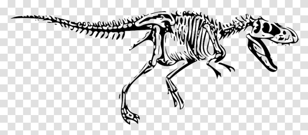 T Rex, Animal, Reptile, Dinosaur, T-Rex Transparent Png