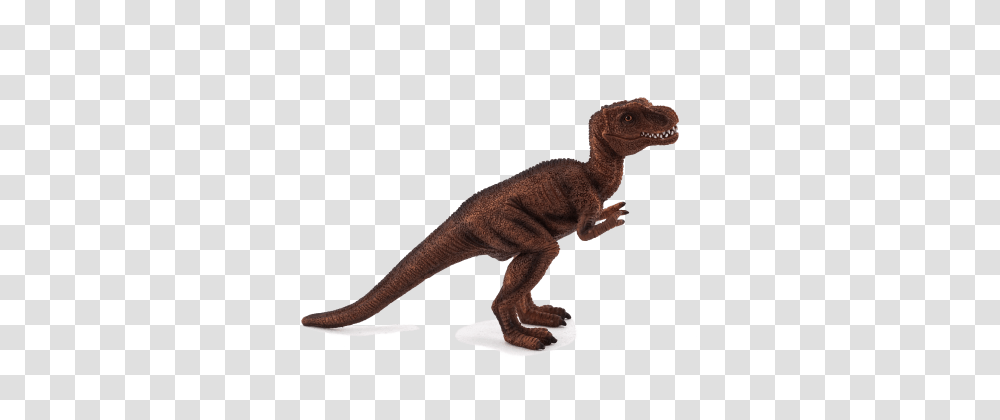 T Rex Baby, Lizard, Reptile, Animal, Dinosaur Transparent Png