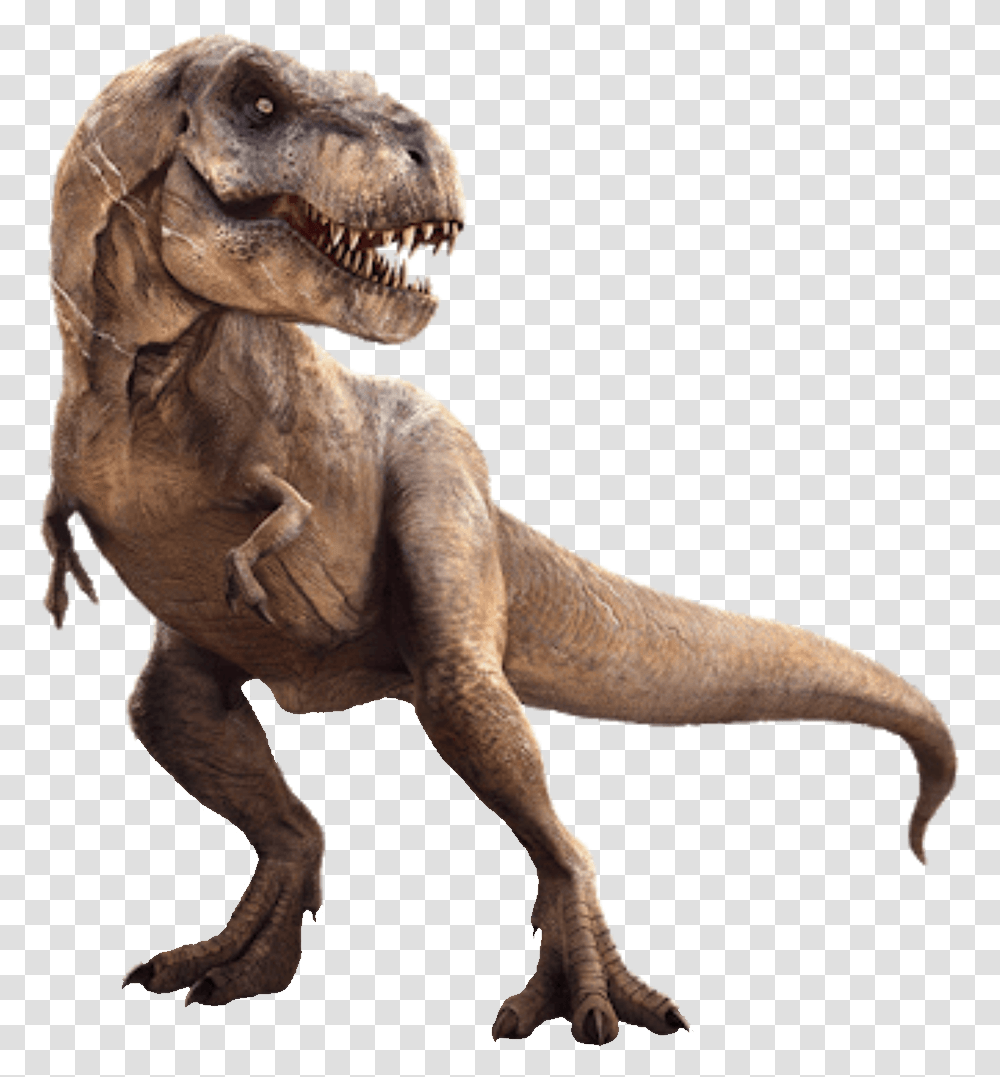 T Rex Background, T-Rex, Dinosaur, Reptile, Animal Transparent Png