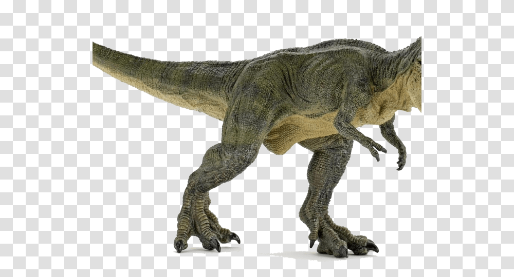 T Rex Closed Mouth, Dinosaur, Reptile, Animal, T-Rex Transparent Png