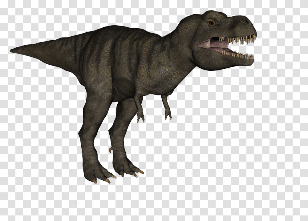 T Rex Dinosaur, Reptile, Animal, T-Rex, Horse Transparent Png