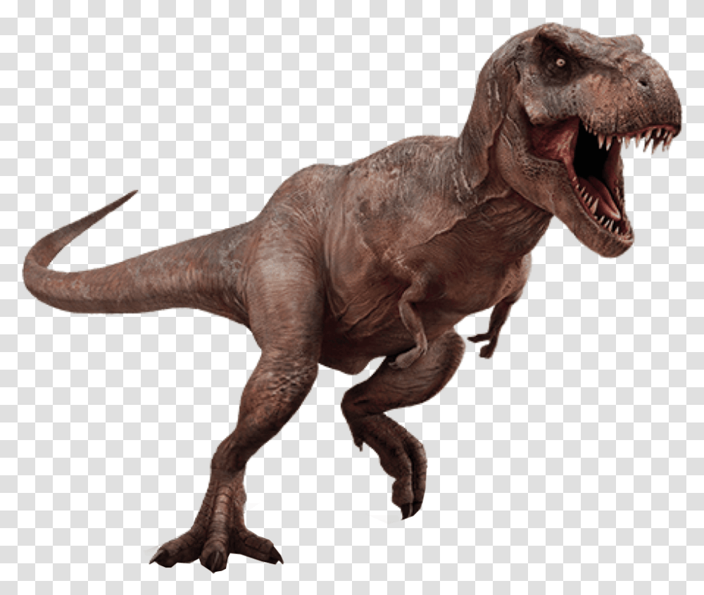 T Rex Dinosaurs Pluspng Dinosaur Background, T-Rex, Reptile, Animal Transparent Png