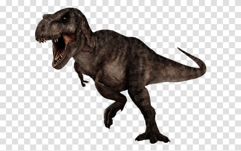 T Rex Download Image File Hd T Rex Background, T-Rex, Dinosaur, Reptile, Animal Transparent Png