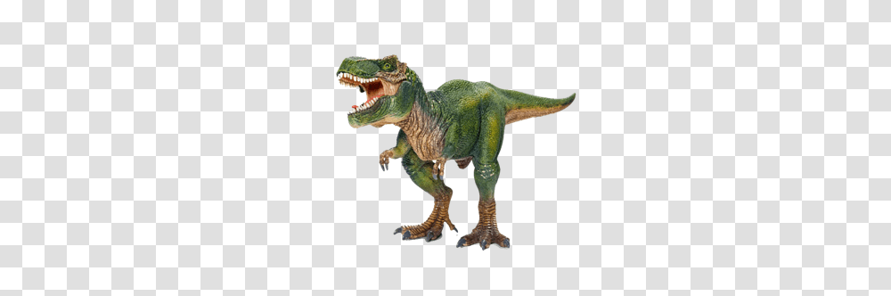 T Rex, Fantasy, Dinosaur, Reptile, Animal Transparent Png