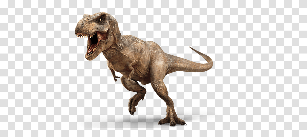 T Rex, Fantasy, T-Rex, Dinosaur, Reptile Transparent Png