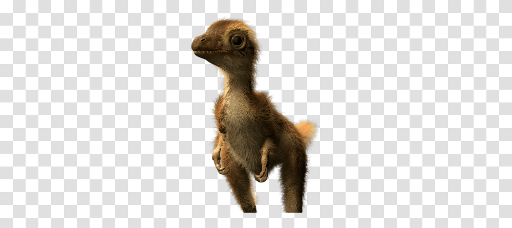 T Rex Feathers, Animal, Bird, Beak, Emu Transparent Png