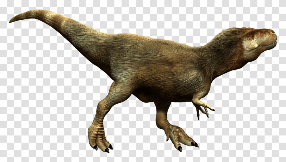 T Rex Hd Tyrannosaurus, Dinosaur, Reptile, Animal, T-Rex Transparent Png