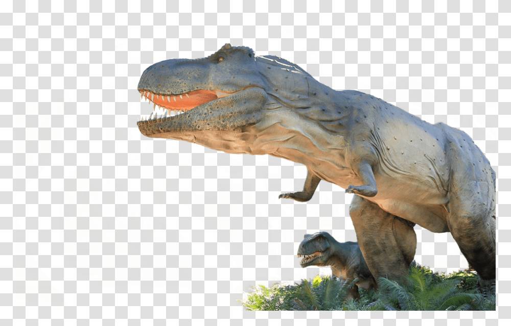 T Rex Head Adelaide Zoo Dinosaurs Alive, Reptile, Animal, T-Rex, Elephant Transparent Png