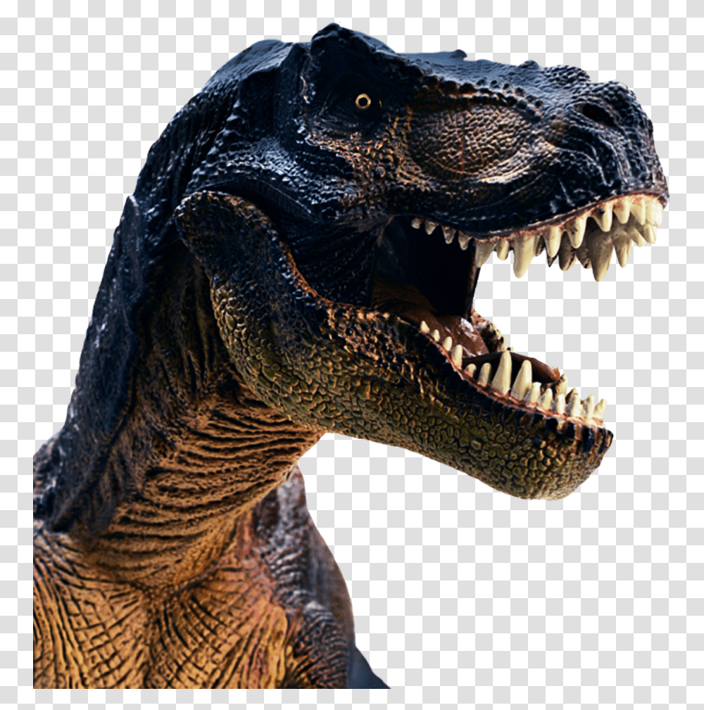 T Rex Head, Dinosaur, Reptile, Animal, T-Rex Transparent Png