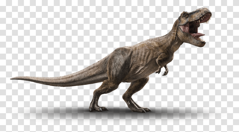 T Rex Jurassic World Fallen Kingdom T Rex, T-Rex, Dinosaur, Reptile, Animal Transparent Png