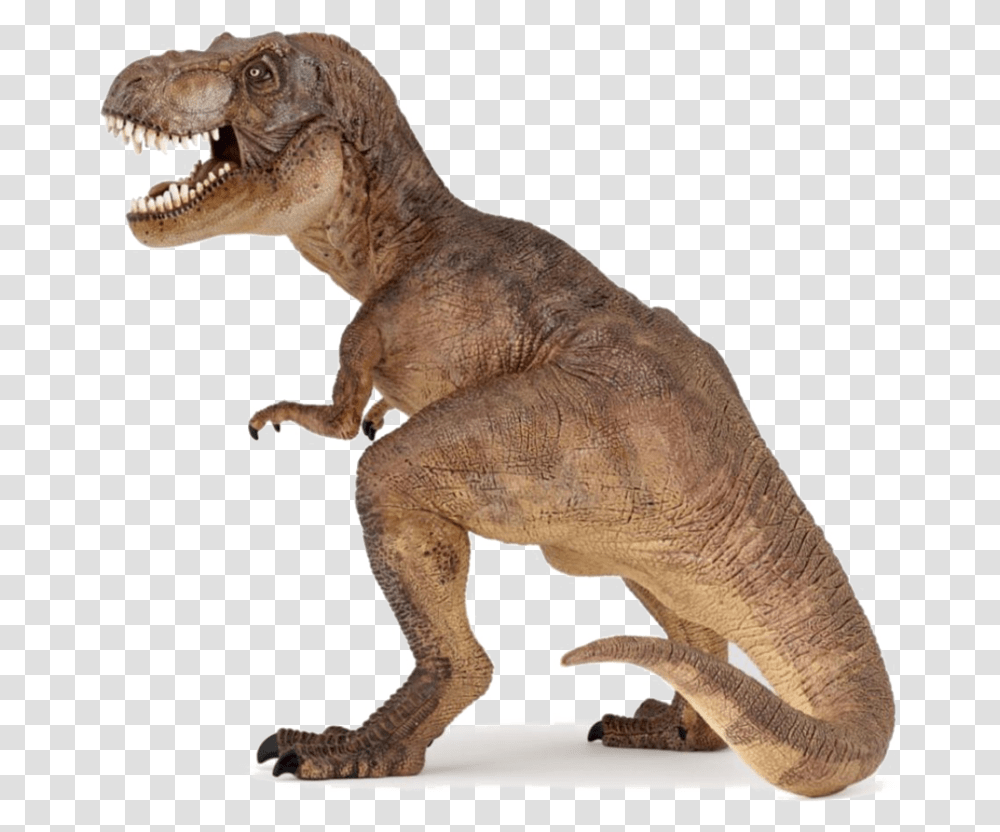 T Rex Picture Papo T Rex, T-Rex, Dinosaur, Reptile, Animal Transparent Png