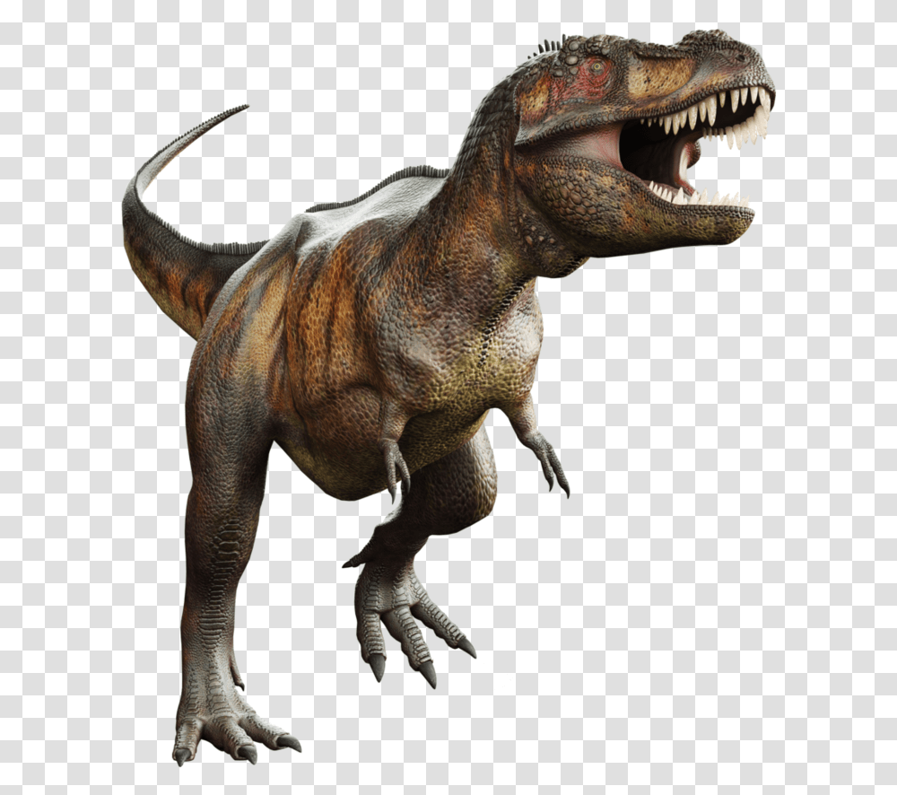 T Rex Picture T Rex Background, Dinosaur, Reptile, Animal, T-Rex Transparent Png