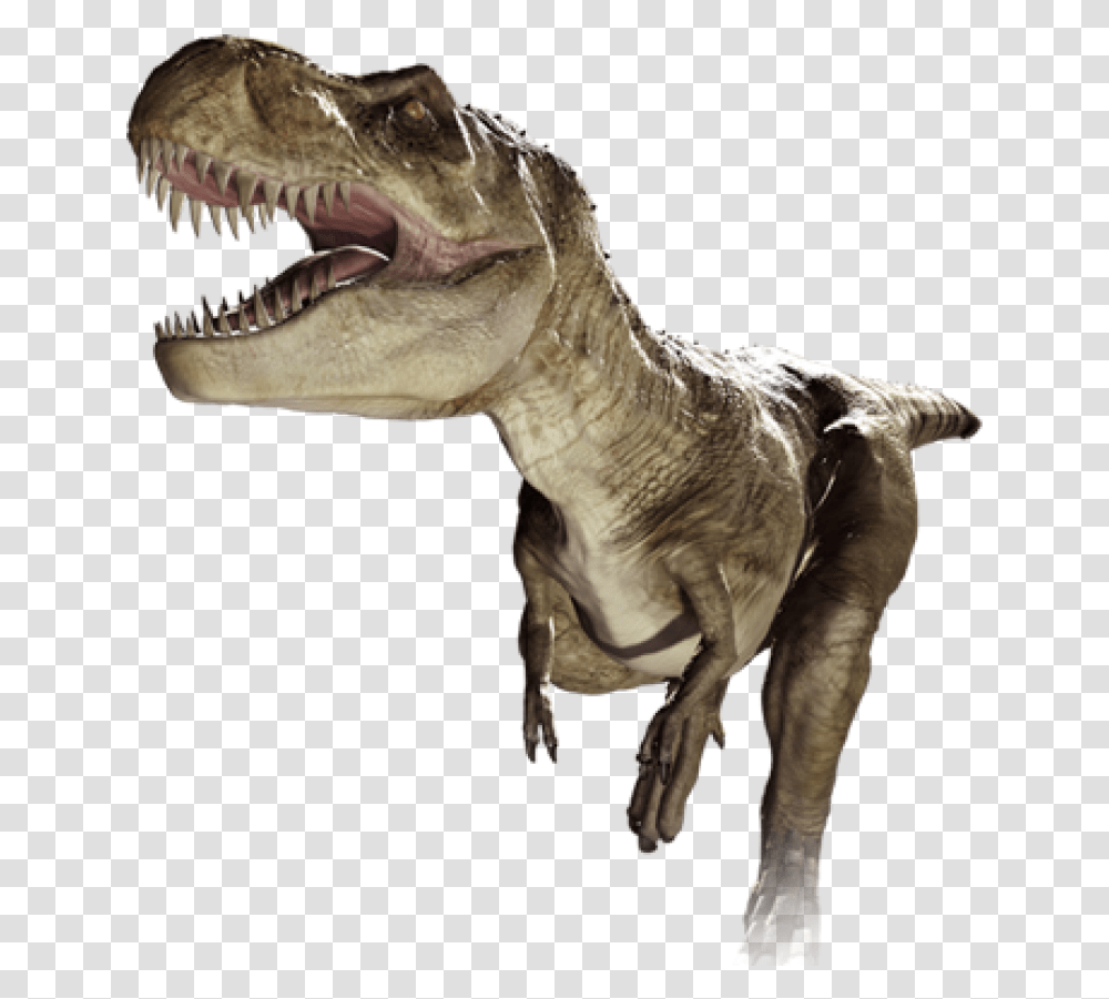 T Rex Running Image De T Rex, Dinosaur, Reptile, Animal, T-Rex Transparent Png