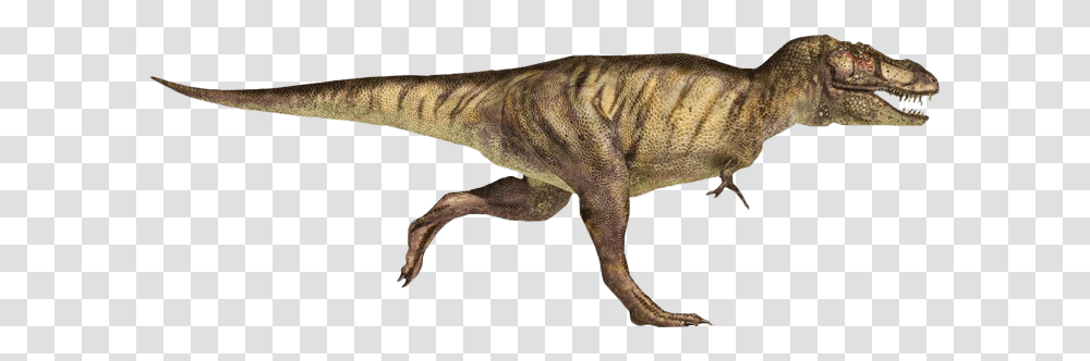 T Rex Running Tyrannosaurus Rex Arms, Dinosaur, Reptile, Animal, T-Rex Transparent Png
