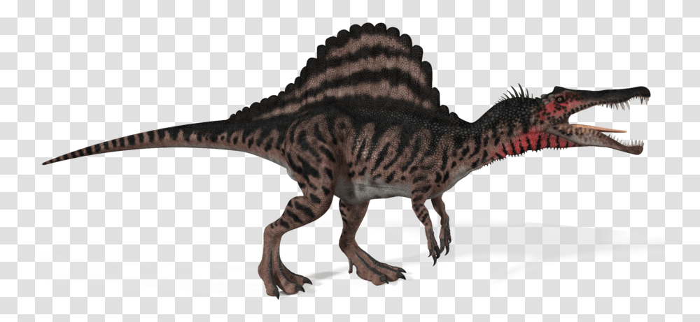 T Rex Skeleton Spinosaurus, Dinosaur, Reptile, Animal, T-Rex Transparent Png