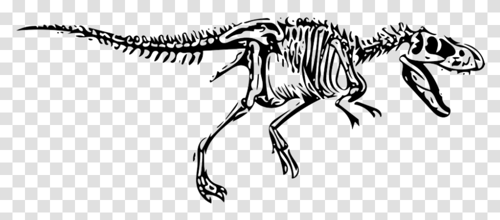 T Rex Skeleton Svg, Reptile, Animal, Dinosaur, T-Rex Transparent Png