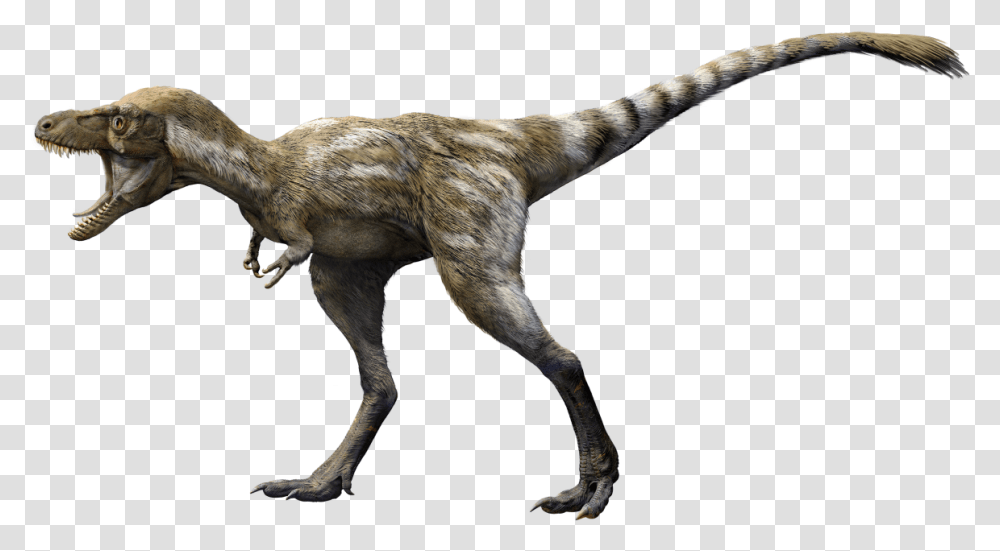 T Rex The Ultimate Predator, T-Rex, Dinosaur, Reptile, Animal Transparent Png