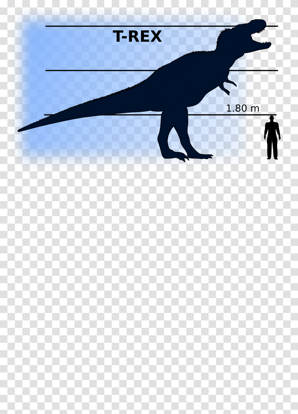 T Rex Vs Man Icons, Silhouette, Animal, Bird, Blackbird Transparent Png