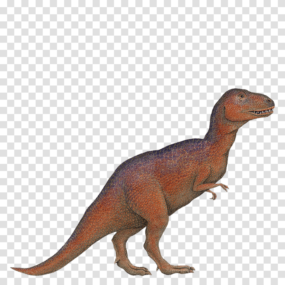 T Rex Wall Sticker, Dinosaur, Reptile, Animal, T-Rex Transparent Png