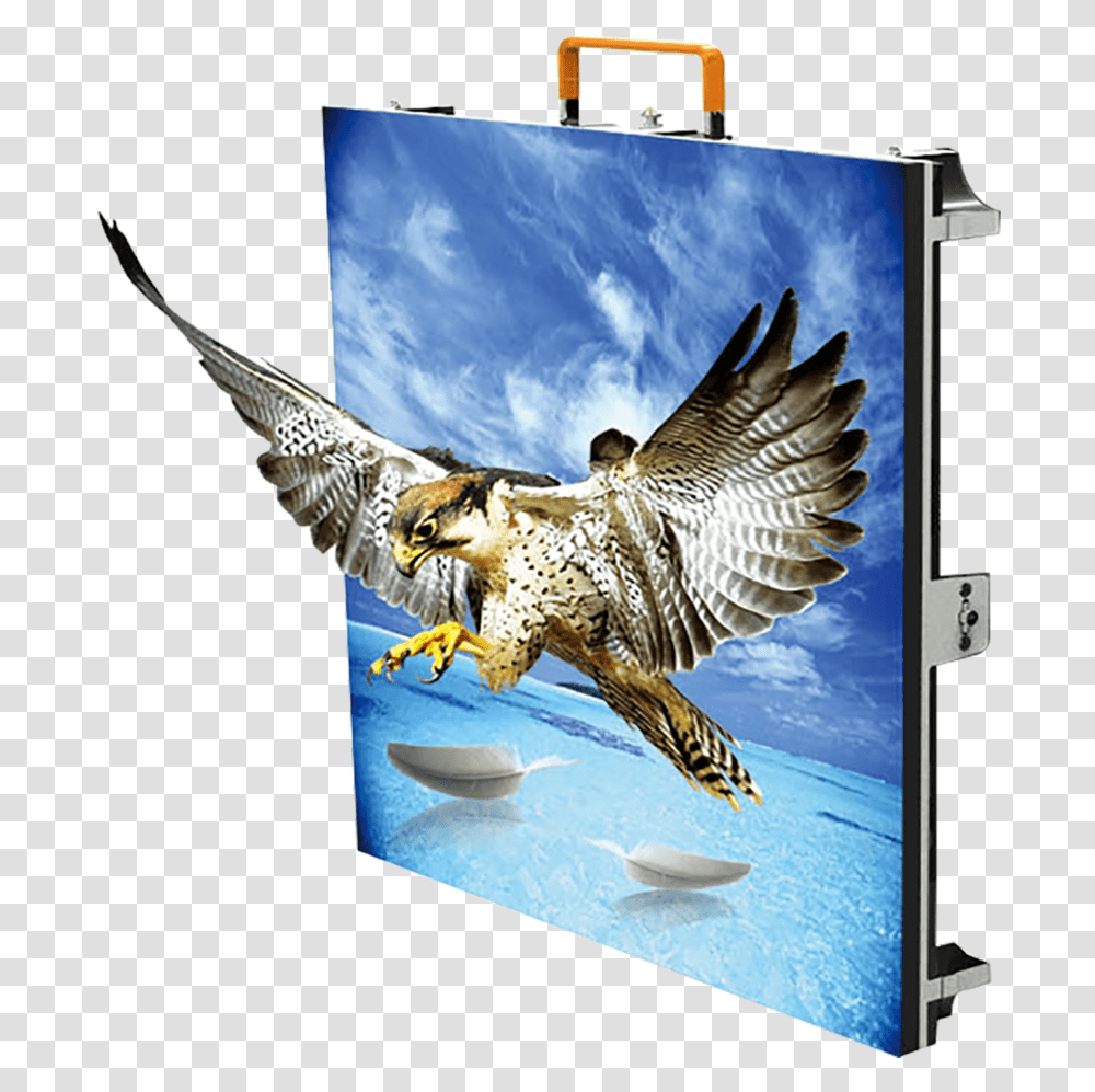 T Series - New Day Led Indoor Led Cabinet, Eagle, Bird, Animal, Kite Bird Transparent Png