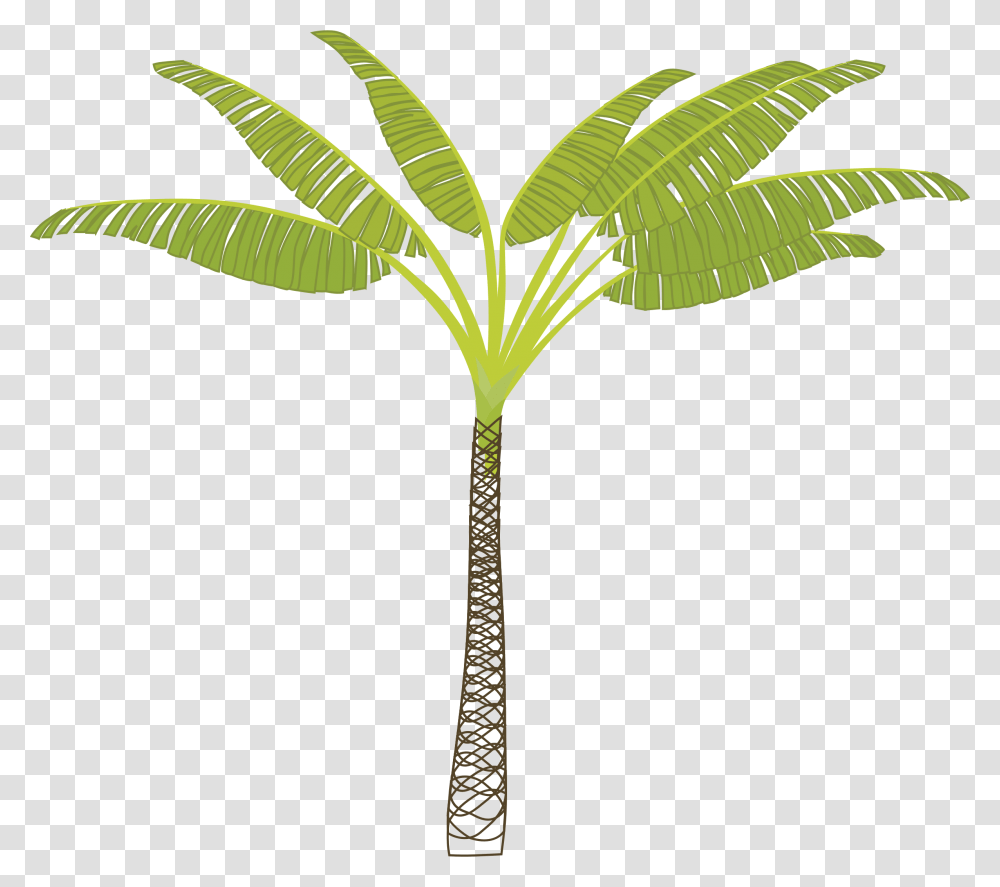 T Shaped Palm Tree, Plant, Arecaceae, Leaf, Green Transparent Png