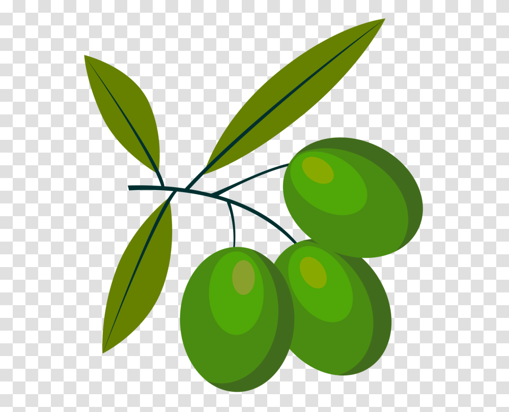 T Shirt Olive Oil Clothing Infant, Plant, Green, Fruit, Food Transparent Png