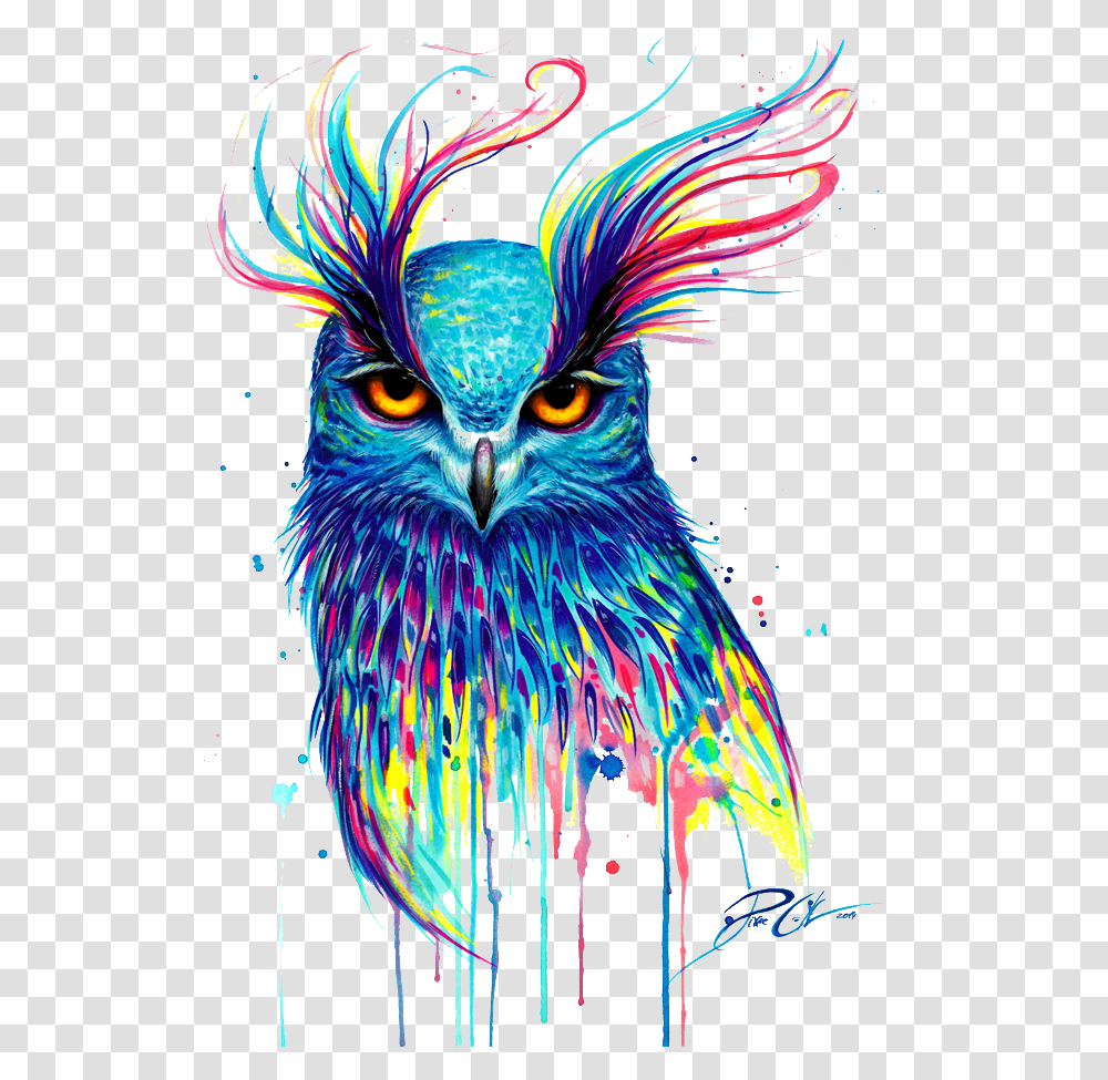 T Shirt Owl Painting Bird Drawing Free Download Image Pixie Cold Owl, Pattern, Ornament Transparent Png