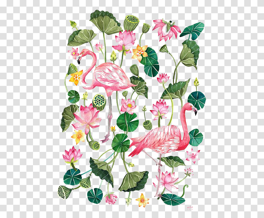 T Shirt Printing Flamingo Cartoon Illustration Download Flamingo Tropical, Plant, Flower, Blossom, Hibiscus Transparent Png