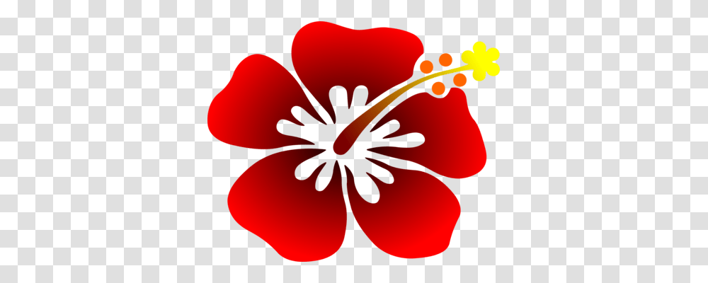 T Shirt Sticker Diaper Chicano Infant, Plant, Hibiscus, Flower, Blossom Transparent Png