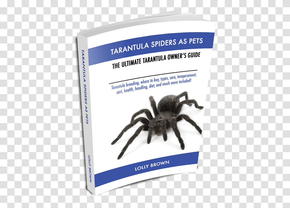 Table Of Contents Tarantula Spiders Pet Tarantula, Invertebrate, Animal, Arachnid, Insect Transparent Png