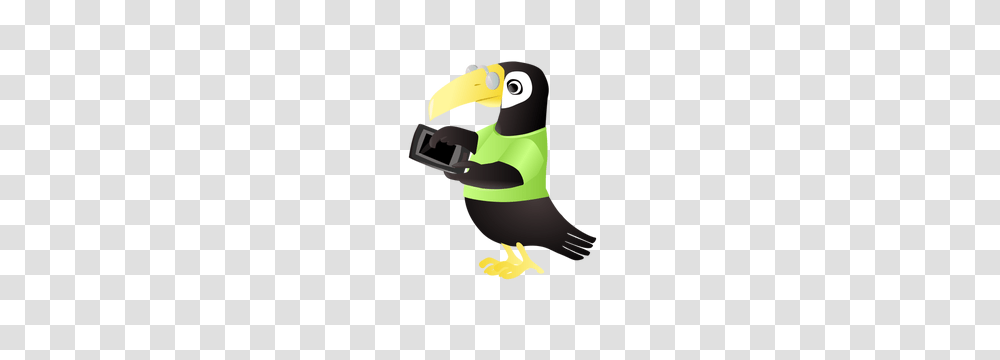 Tablet Free Clipart, Beak, Bird, Animal, Helmet Transparent Png