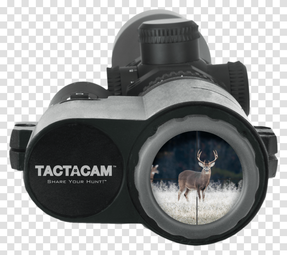 Tactacam Fts Mount, Kangaroo, Mammal, Animal, Wallaby Transparent Png