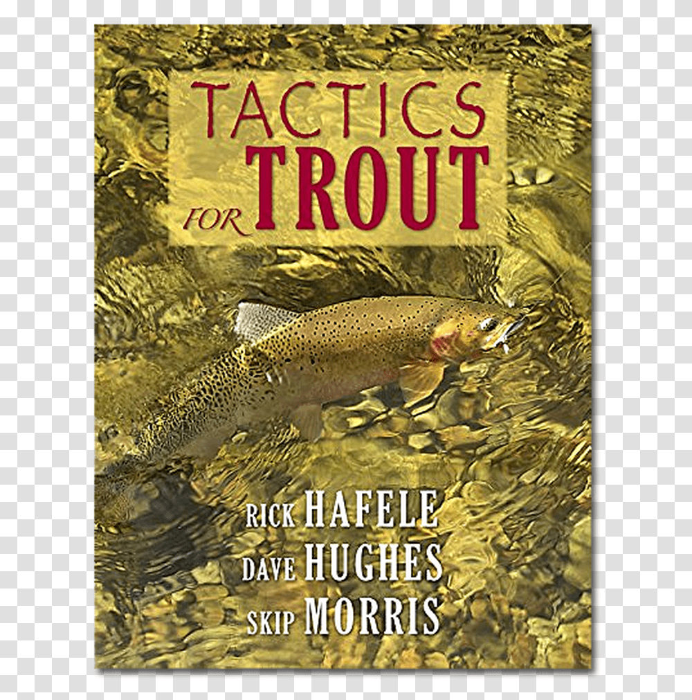 Tactics For Trout Trout, Fish, Animal, Poster, Advertisement Transparent Png