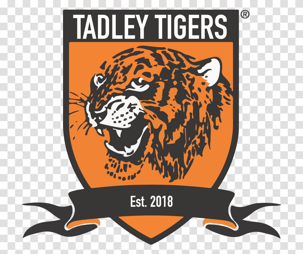 Tadley Tigers Fc Hull City Logo, Wildlife, Animal, Mammal, Poster Transparent Png