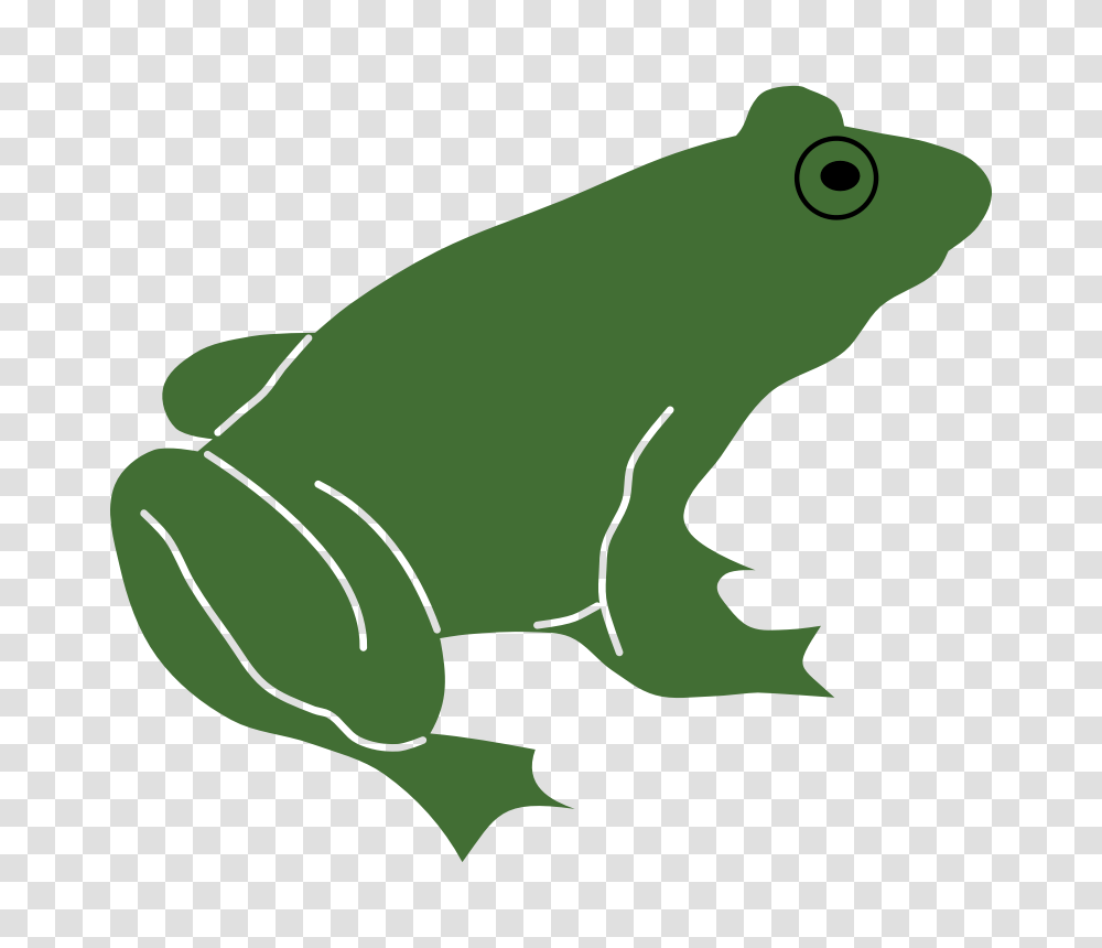 Tadpole Clipart Amphibian, Frog, Wildlife, Animal, Tree Frog Transparent Png