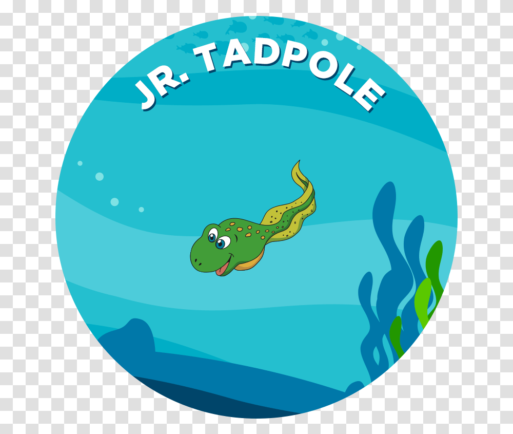 Tadpole Clipart Foot Tadpole In Water Clipart, Sphere, Swimming, Sport, Animal Transparent Png