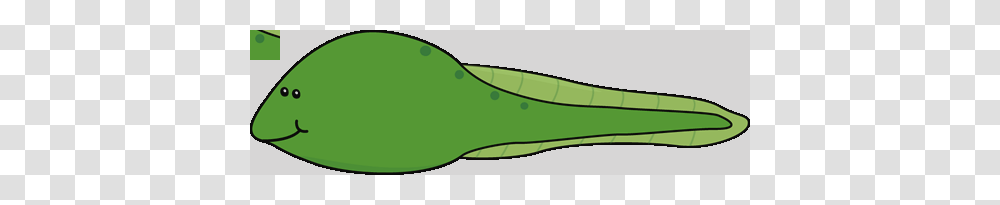 Tadpole Clipart, Kayak, Animal, Reptile, Dinosaur Transparent Png