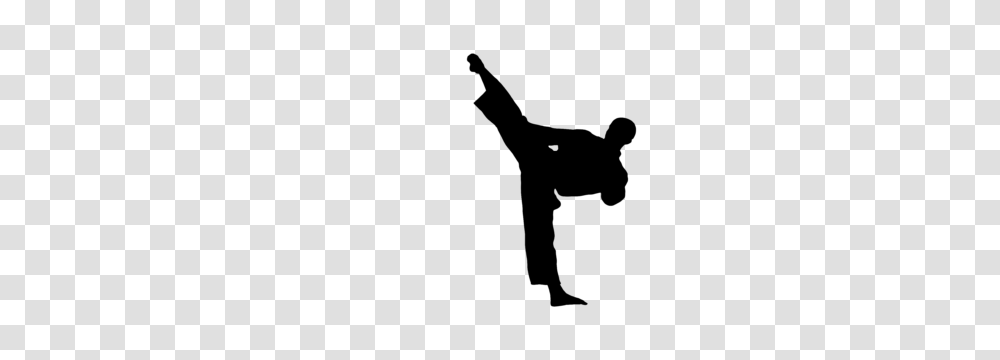 Taekwondo, Sport, Kicking, Sports, Martial Arts Transparent Png