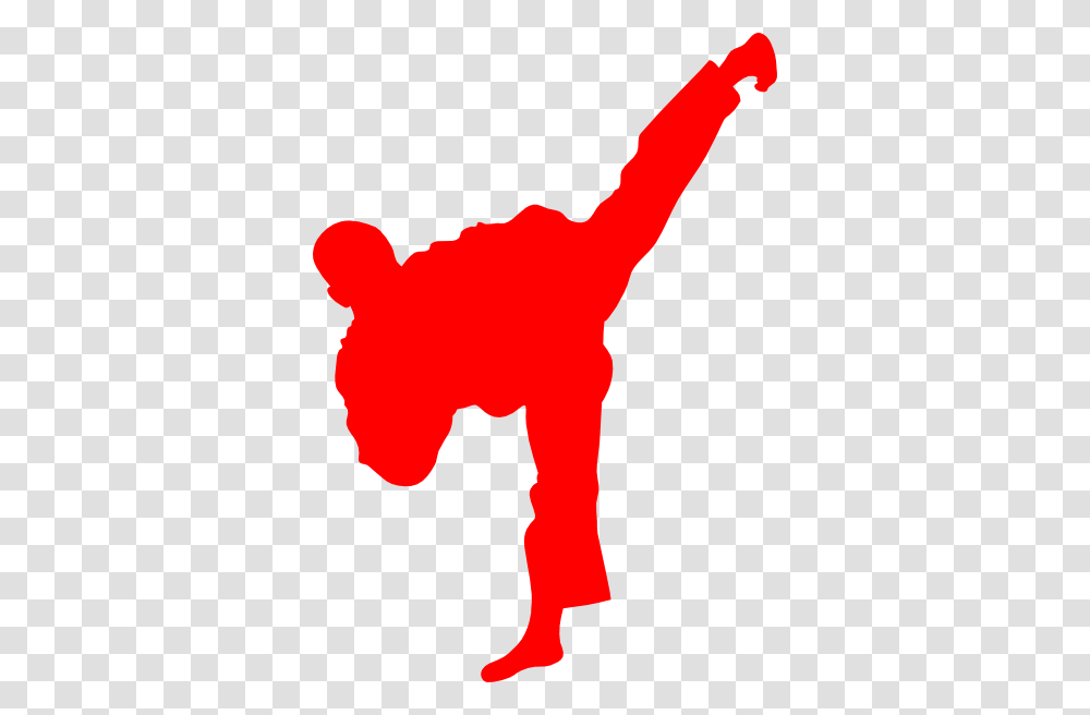 Taekwondo, Sport, Person, Human, Silhouette Transparent Png