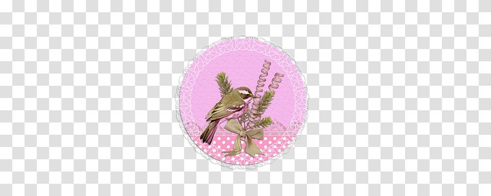 Tag Tool, Bird, Animal, Pattern Transparent Png