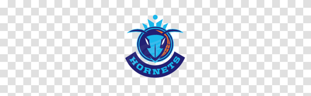 Tag Charlotte Hornets Redesign Sports Logo History, Outdoors, Birthday Cake, Dessert Transparent Png