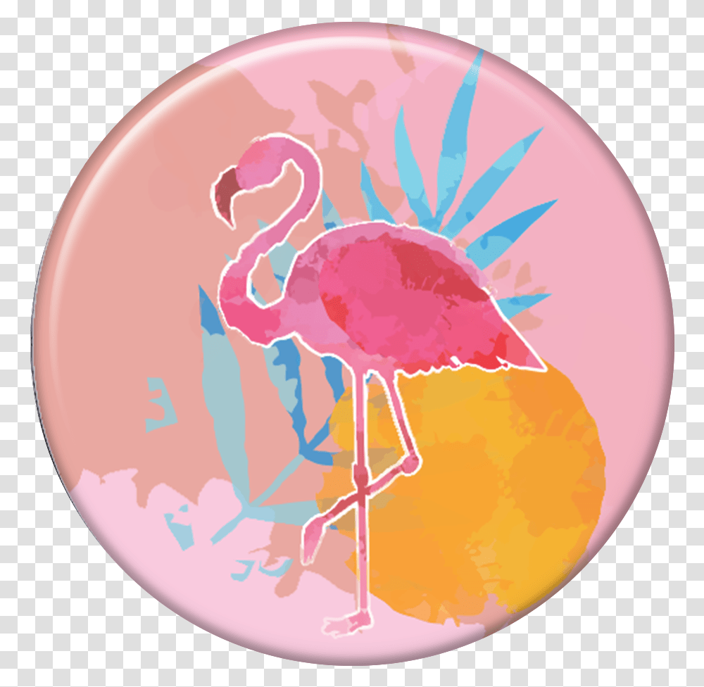 Tag Do Flamingo, Animal, Bird, Sea Life Transparent Png