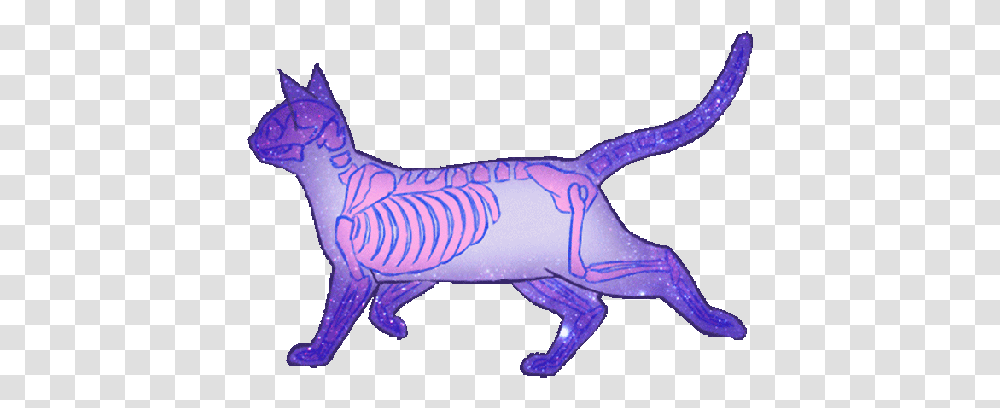 Tag For Animal Jam Image Oml Papyrus Gif Creepy Cat Gif, Figurine, Plush, Toy, Mammal Transparent Png